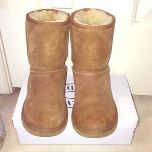 Classic Chestnut ugg boots